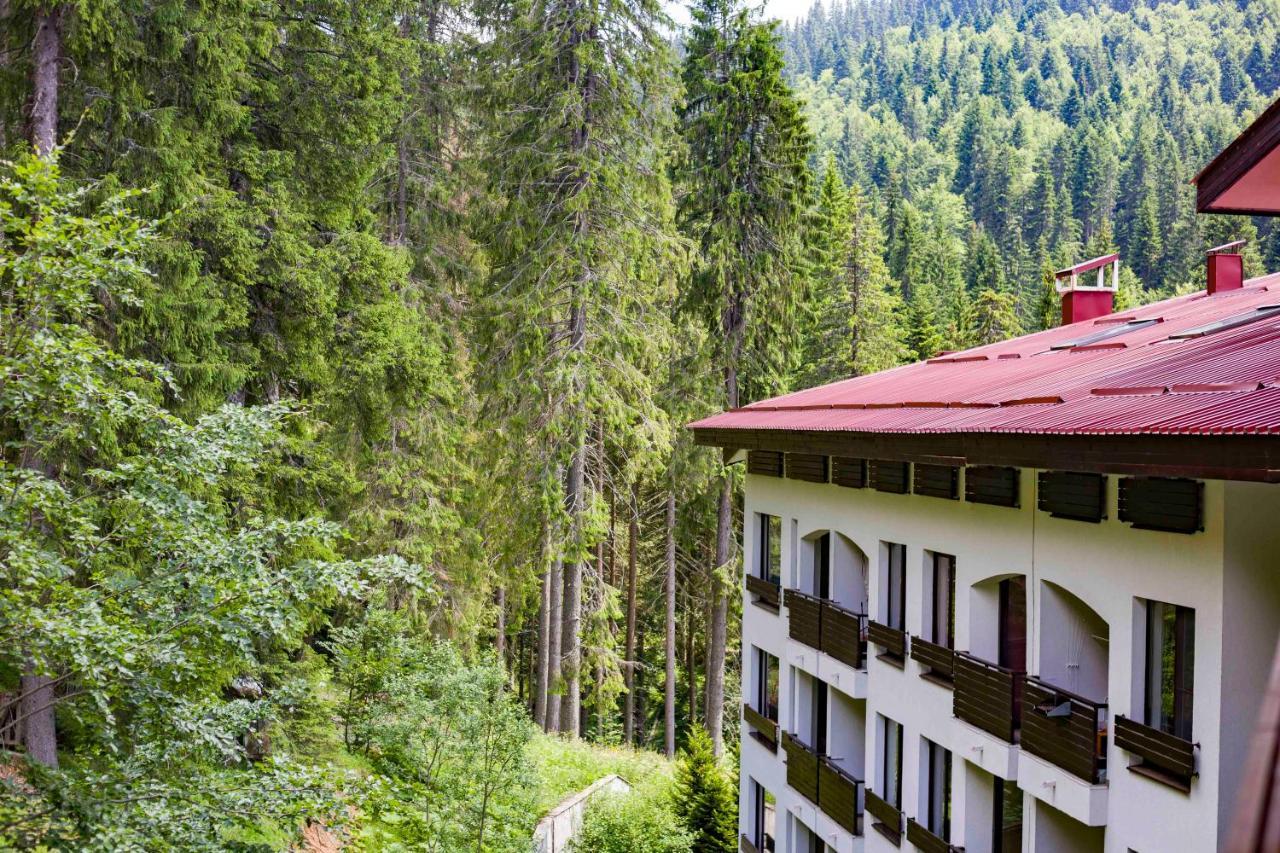 Forest Dream Apartment - Elit Пампорово Экстерьер фото